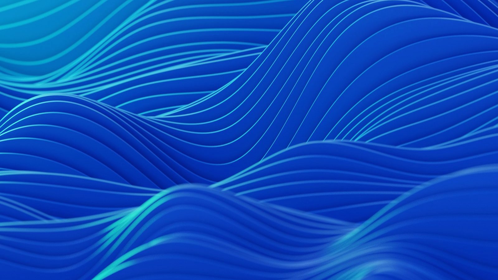 About flashusdts.online team building flash tether software since 2016